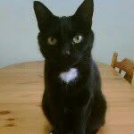 Casper Simpson - @purringcasper - Instagram