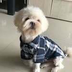 casper - @casper_smarty - Instagram