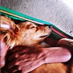 Casper Smith - @smith_sargui - Instagram