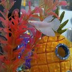 Casper Smith - @casper._.smith - Instagram