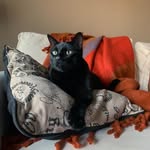 Casper Soto - @casper.chronicles - Instagram