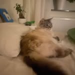 Casper Stark - @casper_stark_banan - Instagram