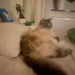 Casper Stark - Facebook