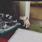Casper Steiner - @casper_steiner - Instagram