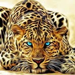 Casper Strong - Facebook