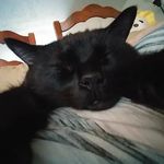 Casper Thomas Pittenger - @casperthomaspittenger - Instagram