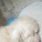 Casper Torres - Facebook