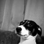 Casper Tucker - Facebook