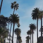 @caspervargass - Instagram