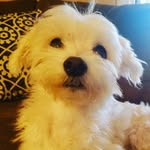 Casper Wallace - @caspery12 - Instagram