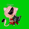 Casper_web - @casper_webs - TikTok