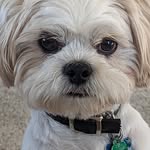 Casper Welch - @casperw0121 - Instagram