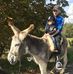 Casper Wendt - Facebook