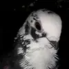 casper.wandet - @kewok099 - TikTok
