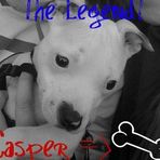 Casper Whitaker - Facebook
