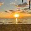 Cass brown - @cass.brown54 - TikTok