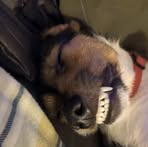 Cass Cooper - Facebook