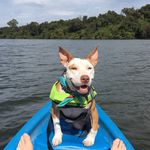 Cass Whitney Garner - @garner.cass - Instagram
