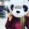 cass.d.harrison - @cass.d.harrison - TikTok