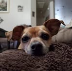 Cass Long - Facebook