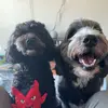 Cass Young - @cass.young14 - TikTok