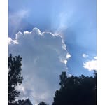 Cassandra Barber - @_candid_pics_ - Instagram