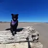 Cassandra Barr - @cassandra.barr - TikTok