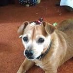 Cassandra Barry - @tonycb65 - Instagram