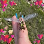 Cassandra June Bauer - @lopingbeetle - Instagram