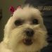 Cassie Baughman - Facebook