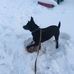 Cassy Baughman - Facebook
