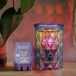 Cassandra Bean Scentsy - @scentsybycass - Instagram