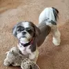 cassandrabean14 - @cassandrabean14 - TikTok