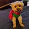 cassilynn - @cassandrabengfort - TikTok