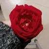 CassandraBurch - @lindsvvttly - TikTok
