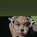 Rain Cassandra Cepeda Deolino - Facebook