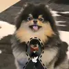 cassandracolin98 - @cassandracolin98 - TikTok