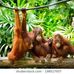 Cassandra Crowell - Facebook