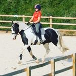 Cassandra Eaves Equestrian - @cassandra_eaves - Instagram