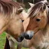 Epstrien Cassandra♥️ - @cassandra08061 - TikTok
