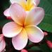 Cassie Goodyear - Facebook