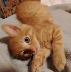 Cassandra Griffin - Facebook