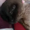 Truffles24 - @cassandrawhitehead - TikTok