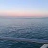 cassandraholbert8 - @cassandraholbert8 - TikTok