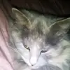 cassandrahubbard18 - @cassandrahubbard18 - TikTok