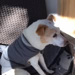 Cass Ingram - @cassandra.ingram07 - Instagram