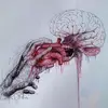 Cassandra Justice - @cassandra.justice - TikTok