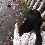 mitch - @_cassandrakim - Instagram