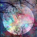 Cassandra Kirkpatrick - Facebook