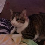 Cassandra Kirkpatrick - @kirkpatrick.cassandra - Instagram